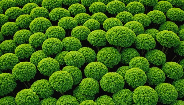 Photo écologie : à la recherche d'avis authentiques ?